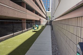 Gated outdoor dog park with turf, dog obstacles and concrete walk path